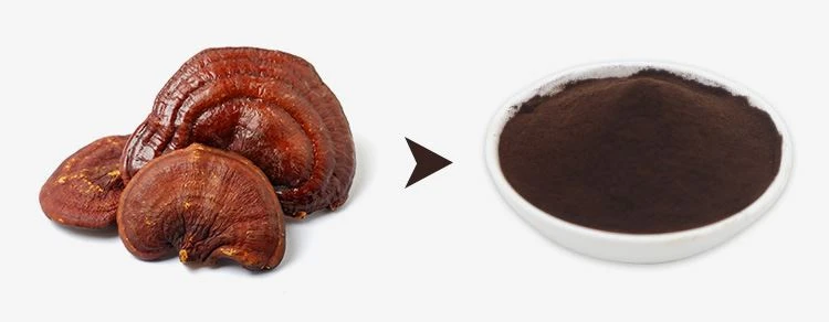 Reishi Spore Powder 1 Reishi Spore Powder 1