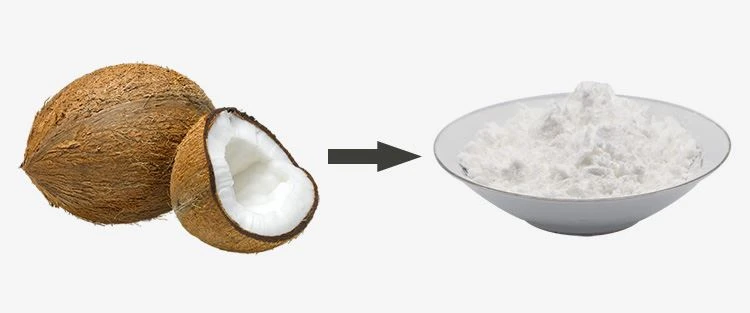 Coconut Water Powder Bulk 1