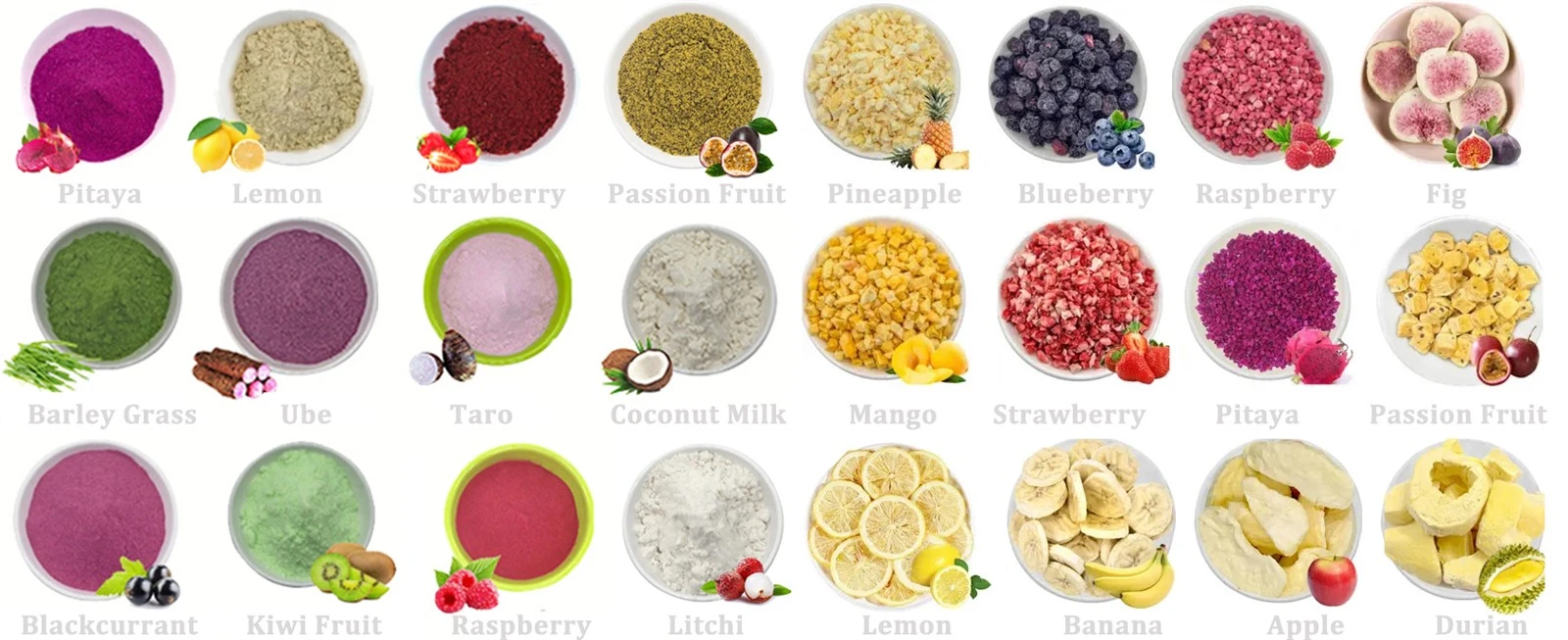 Fruit and Vegetable Powder Fruit and Vegetable Powder