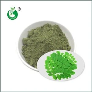 Ekološki Moringa v prahu