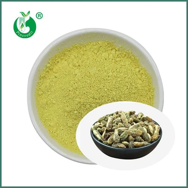 Kaempferol v prahu na debelo