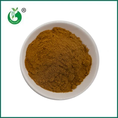 Pincredit Hot Sale organski ekstrakt gob v prahu