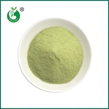 NOVO PRIHOD: Matcha Latte v prahu
