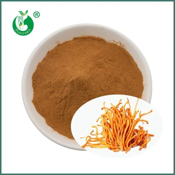 Cordyceps Militaris ekstrakt v prahu
