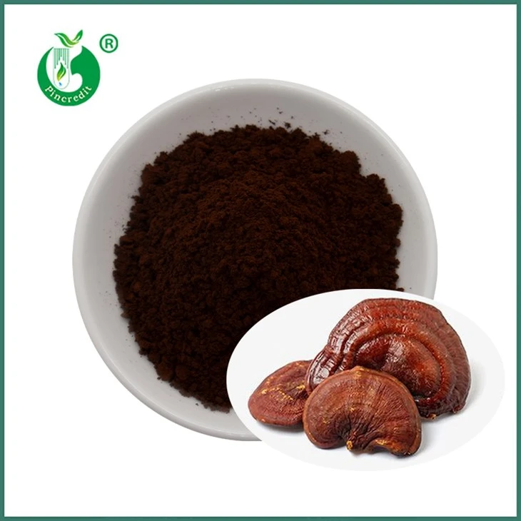 Reishi spore v prahu