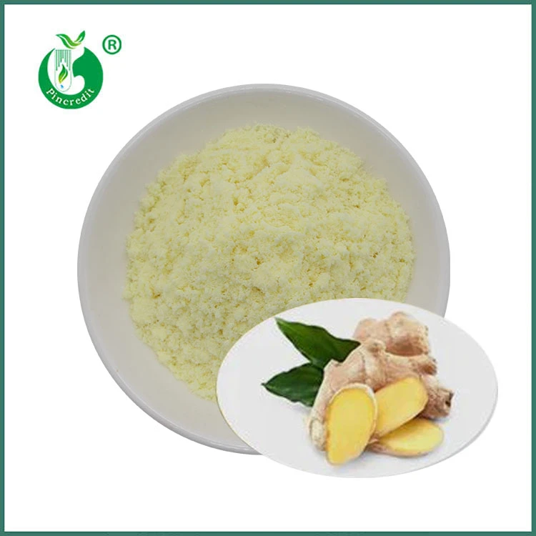 Gingerol v prahu