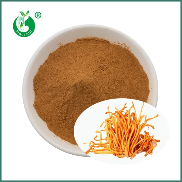 Organski izvleček gobe Cordyceps Militaris