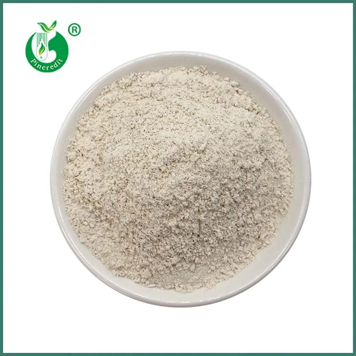 Trans Resveratrol prašek