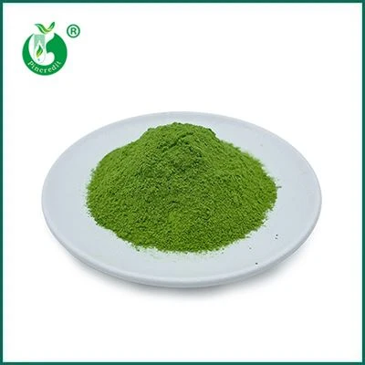 Matcha zeleni čaj v prahu